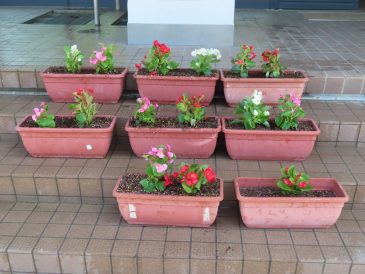 優しい心を育てます！～４年人権の花植え～