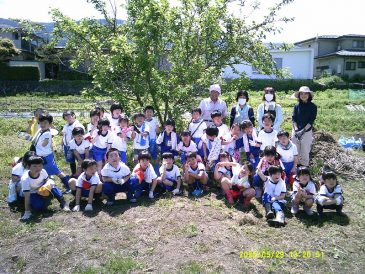 大きく育て！～１年サツマイモの苗植え～