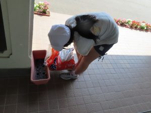 IMG_4375