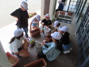 IMG_4377