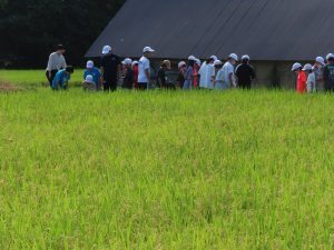 IMG_5605