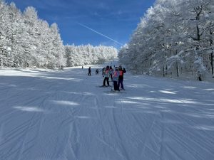 9CF48842-0421-4786-BDD0-C8EA3C1CAA69